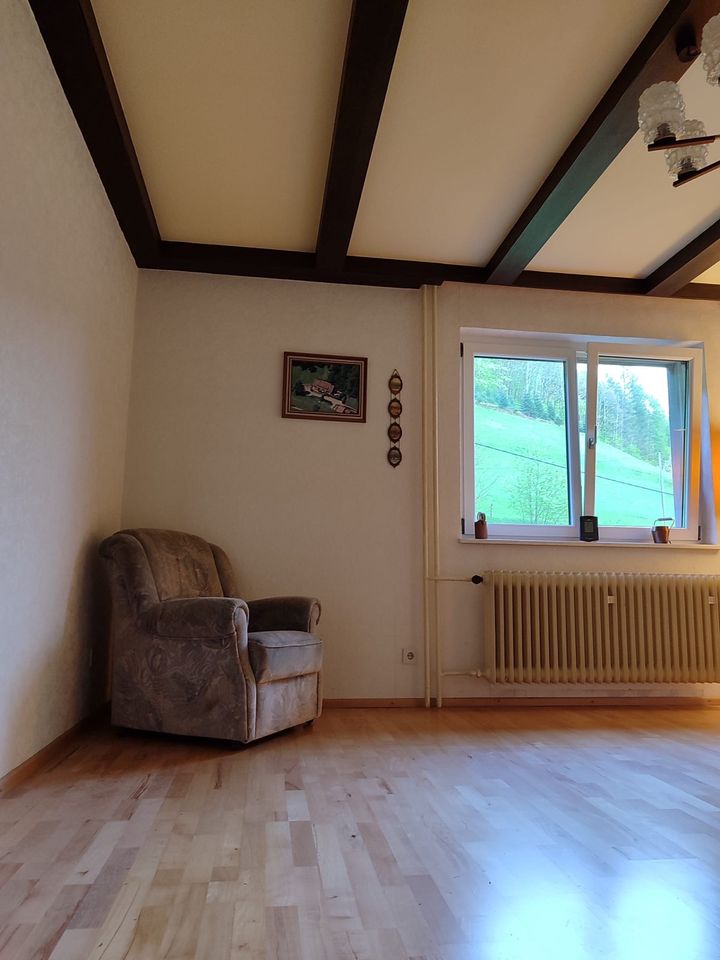 Wohnen wo Andere Urlaub machen 3 Zimmer Wohnung in Bad Peterstal-Griesbach