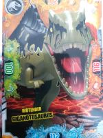 LEGO. Jurassic World Serie 2 Sammelkarten Baden-Württemberg - Kippenheim Vorschau