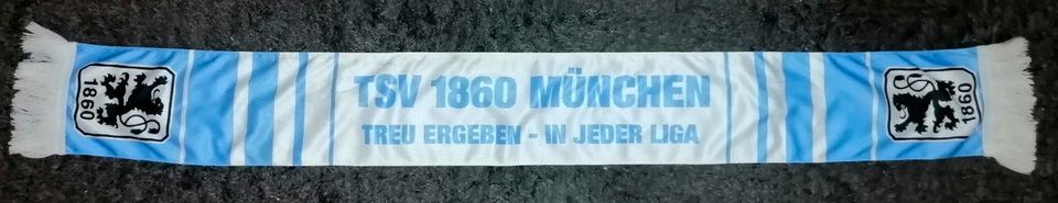 1860 München Fanschal Fussball Fan Schal Fanartikel Seidenschal in Arnsberg