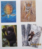 Postkarten Thema Wildlife - Postcrossing Baden-Württemberg - Rastatt Vorschau