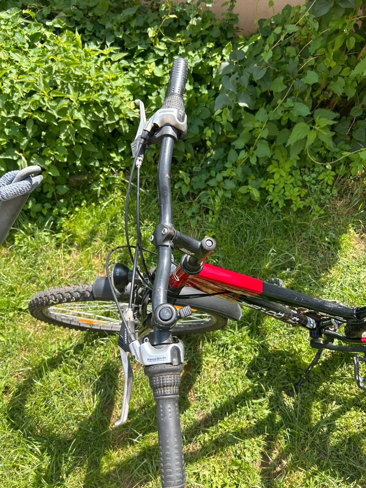 Fahrrad für Erwachsene in Auleben