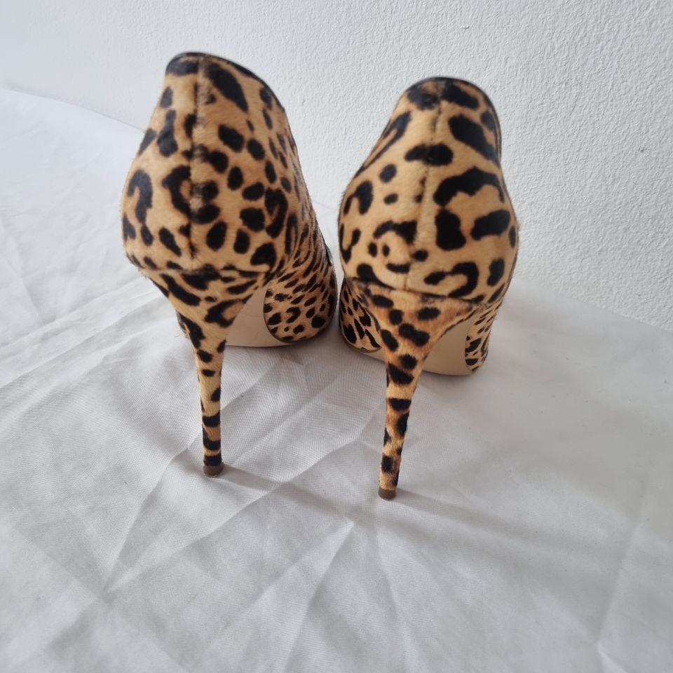 Steve Madden Pumps 1 mal getragen Neu Gr. 39 in München