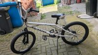 AVIGO BMX Bike Thüringen - Themar Vorschau