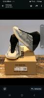 YEEZY BSKTBL Brandenburg - Velten Vorschau
