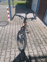 Fahrrad zu verkaufen Nordrhein-Westfalen - Bedburg Vorschau