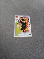 Match attax bundesliga 21 22 Rheinland-Pfalz - Weinsheim Vorschau