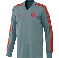 Adidas Pullover Sweatshirt Trikot FC Bayern München Training 164 Sachsen - Lichtentanne Vorschau