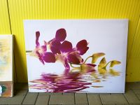 Orchidee Blüten Blumen große Leinwand Bild Deko Wohnzimmer Küche Dortmund - Innenstadt-Ost Vorschau