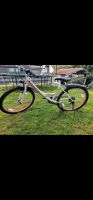 Tytrade 26 Zoll  Fahrrad Nordrhein-Westfalen - Sundern (Sauerland) Vorschau