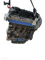 Ford Transit MK8 2.2 TDCI EURO 5 Motor CYRB GETESTET! 125PS Brandenburg - Küstriner Vorland Vorschau