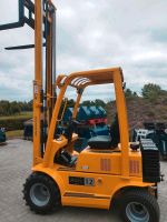 ► Max. Tragkraft 1400kg Hubhöhe 300cm Gewicht 1575kg ◄ Eurotrac Geländestapler Agri 12 - 26 PS Kubota-Motor - Bis zu 12km/h - Hydrostatischer Antrieb - Steuerung per Joystick - Gabelstapler kaufen Niedersachsen - Heemsen Vorschau