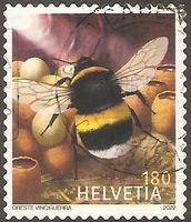 Schweiz 2763 ° Fauna Tiere Insekten Bestäuber - Bienen - Hummel Nordrhein-Westfalen - Kamen Vorschau
