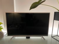 Grundig TV Fernseher Vision 6 Full HD 40 Zoll silber Niedersachsen - Wolfsburg Vorschau