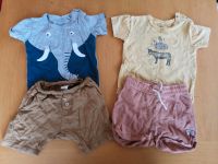 Sommer-Set / kurze Hosen & T-Shirts / 80 Nordrhein-Westfalen - Bad Driburg Vorschau