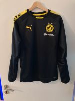 BVB Pullover Schleswig-Holstein - Neumünster Vorschau