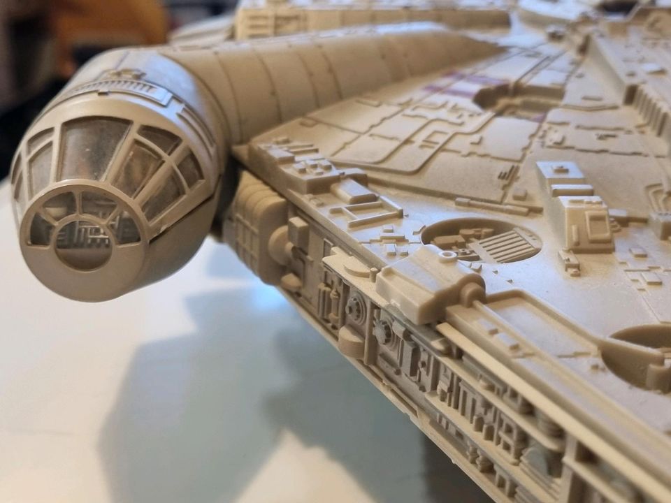 Millennium Falcon in Fuldatal