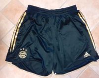 FC Bayern München Herren Sport Shorts 06/04 Gr.XL - 2XL Top! Schleswig-Holstein - Jarplund-Weding Vorschau