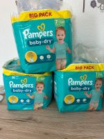 3 Pakete Pampers Baby Dry - Größe 7 - / plus Pants gratis dazu Niedersachsen - Steimbke Vorschau