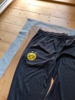 BVB-Trainingshose Retrolook Hessen - Wiesbaden Vorschau