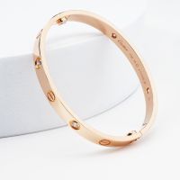 Cartier Dia. Armreif breit "Love Bracelette",18kt Weißgold Gr. 20 Eimsbüttel - Hamburg Rotherbaum Vorschau