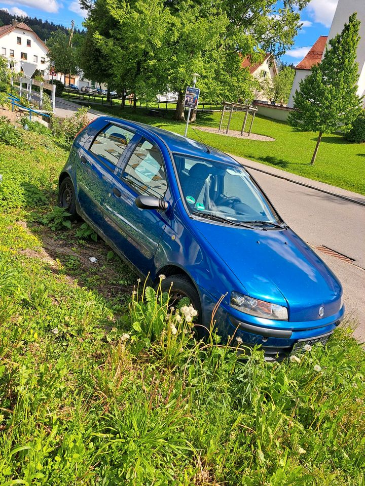 Fiat Punto 1.2 L in Isny im Allgäu