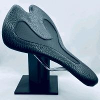 Suche Infinity Bike Seat Sattel Saarland - St. Wendel Vorschau