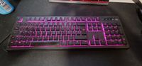 Razer Ornata Chroma Tastatur Nordrhein-Westfalen - Siegburg Vorschau