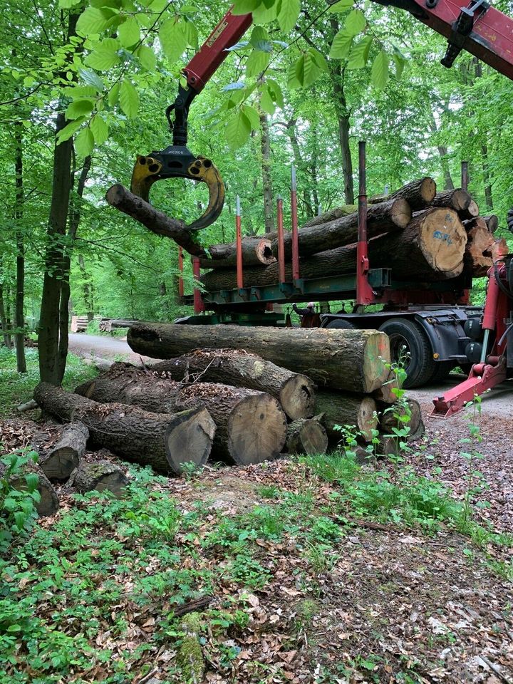 Lohnsägen Lohnschnitt Bauholz Sägewerk Schnittholz in Bad Vilbel