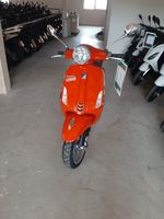 Vespa Primavera 50 Orange Aktion Bayern - Petting Vorschau