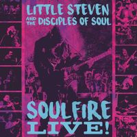 Little Steven & The Disciples Of Soul Soulfire Live! Limited 7 LP Nordrhein-Westfalen - Geseke Vorschau