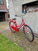 Hollandrad Damenrad 28 Zoll Duisburg - Walsum Vorschau