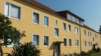 Frisch renovierte Wohnung in dörflicher und ruhiger Lage zu vermieten! Bad Doberan - Landkreis - Schwaan Vorschau