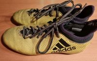 Adidas Fußballschuhe mit Stollen Gr. 36 Schleswig-Holstein - Norderstedt Vorschau