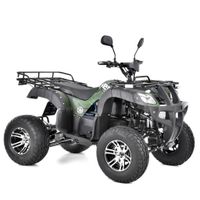 Quad Quads Akku NEU 2200W Straßenzulassung ATV Nordrhein-Westfalen - Greven Vorschau