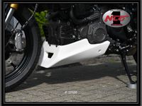 Indian FTR 1200 Motorspoiler , alle Baujahre Baden-Württemberg - Hüffenhardt Vorschau