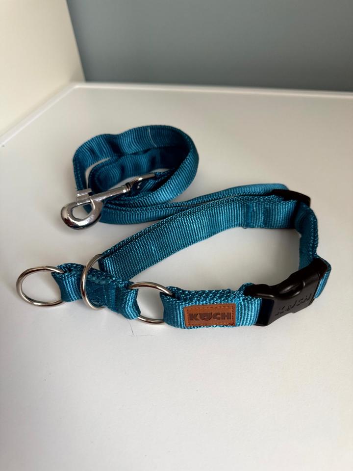 KOCH Premium Zugstop-Halsband M + passende Stadtführhundeleine in Reichenbach (Vogtland)
