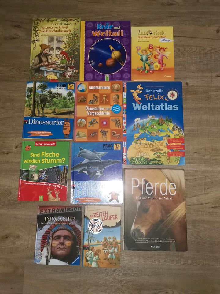 Verschiedene Kinderbücher in Bredstedt