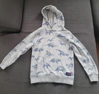 Hoodie Pullover Sweatshirt Dinosaurier von H&M 122 / 128 Brandenburg - Neuruppin Vorschau