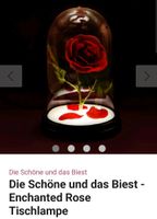 Disney schöne und das biest lampe Rose led Touch usb Berlin - Neukölln Vorschau