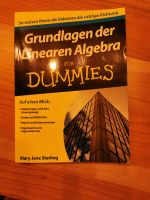 Grundlagen der Linearen Algebra für Dummies Bayern - Zeilarn Vorschau