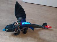 Playmobil Dragons 9246 Hicks und Ohnezahn Schleswig-Holstein - Idstedt Vorschau