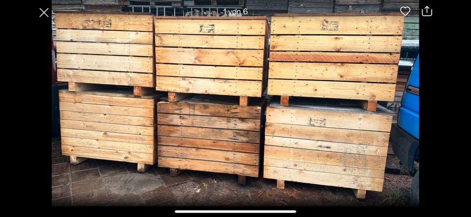 Holzboxen, Kartoffelmiete, Rüben, Mohrrüben. Keine Gitterbox! in Coswig