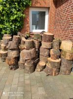 Brennholz verschiedene Holzarten Selbstabholer Schleswig-Holstein - Handewitt Vorschau