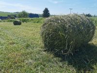 Wiesen Heu, Miniballen, Kleintiere, Schafe, Hasen Lichtentanne - Schönfels Gem Lichtentanne Vorschau