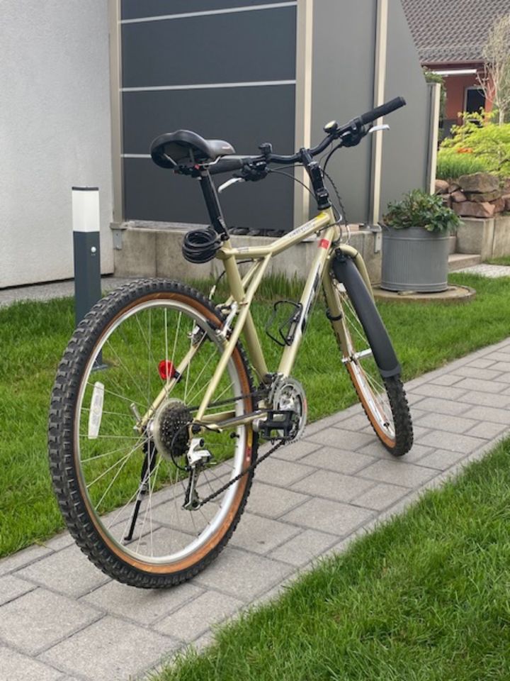 MTB Fahrrad / Rahmenhöhe 17 in Champagner in Worms