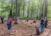 Trainingsgruppe Hundeschule Ratingen Nordrhein-Westfalen - Ratingen Vorschau