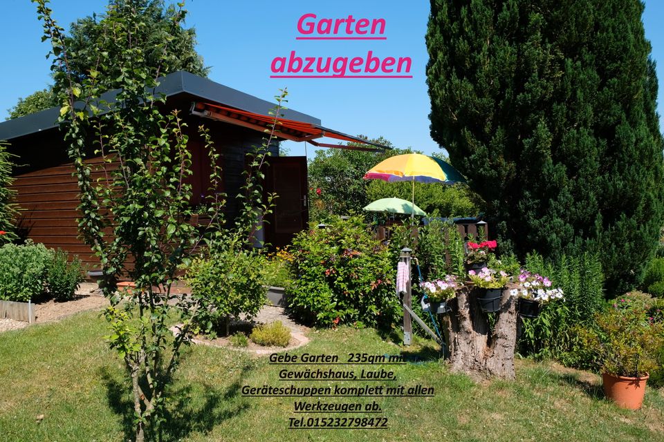 Kleingarten/Schrebergarten in Marktredwitz