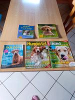 Bücher über Hundeerziehung Saarland - Tholey Vorschau