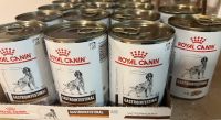 Royal Canin GastroIntestinal low fat 14 x  420g Nordrhein-Westfalen - Bottrop Vorschau