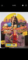 Street Fighter Figuren Hasbro 1993 Ken und Sagat,2xblanka Bayern - Burgberg Vorschau